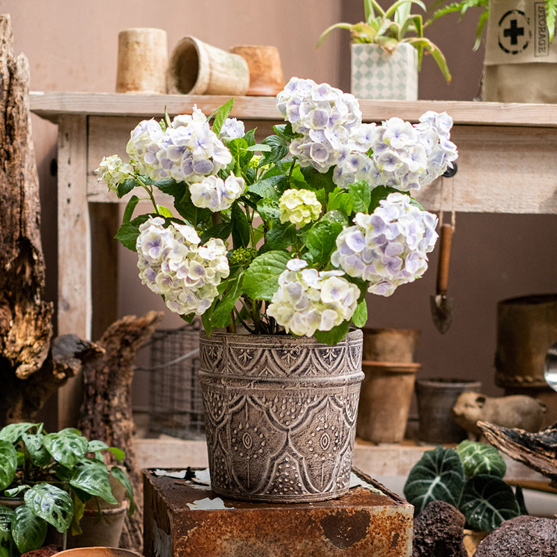 Classic Terracotta Planter – Intricate and Durable