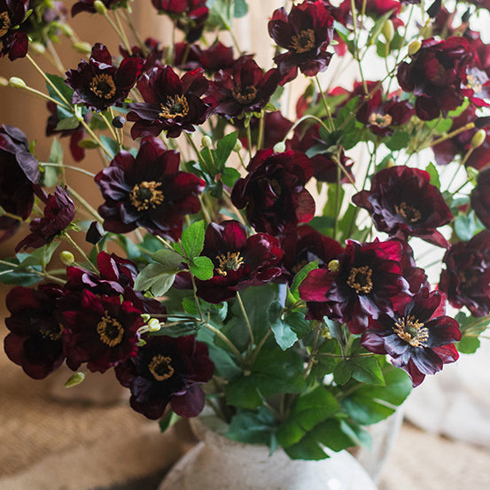 Vintage Dark Anemone Arrangement