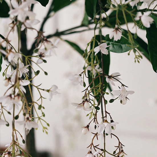 Stunning Wallich’s Glorybower Faux Tree