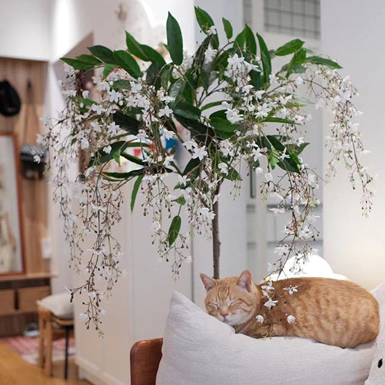 Stunning Wallich’s Glorybower Faux Tree