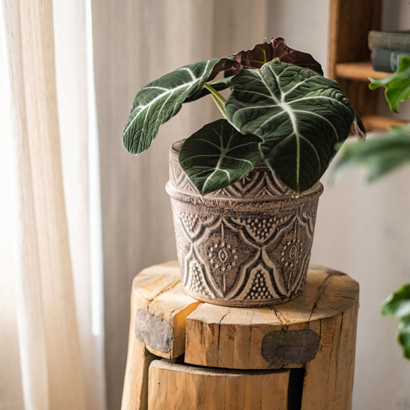 Classic Terracotta Planter – Intricate and Durable