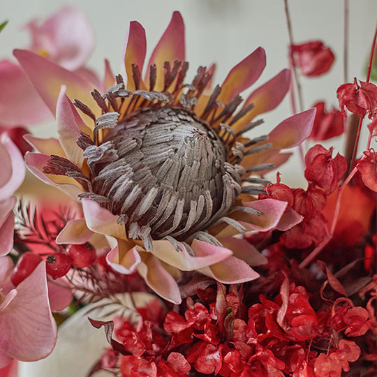 Red Faux Holly and King Protea Arrangement in Matte White Vase - Bold and Festive