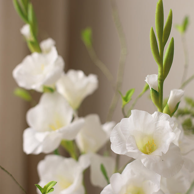 Graceful White Gladiolus Arrangement